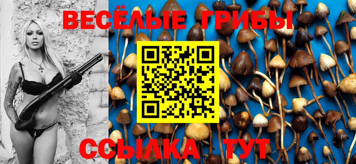Псилоцибиновые грибы ЛСД Отрадный