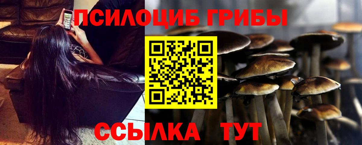 Отрадный  Псилоцибиновые грибы мицелий  Вход с VPN  Галлюциногенные грибы GOLDEN TEACHER 